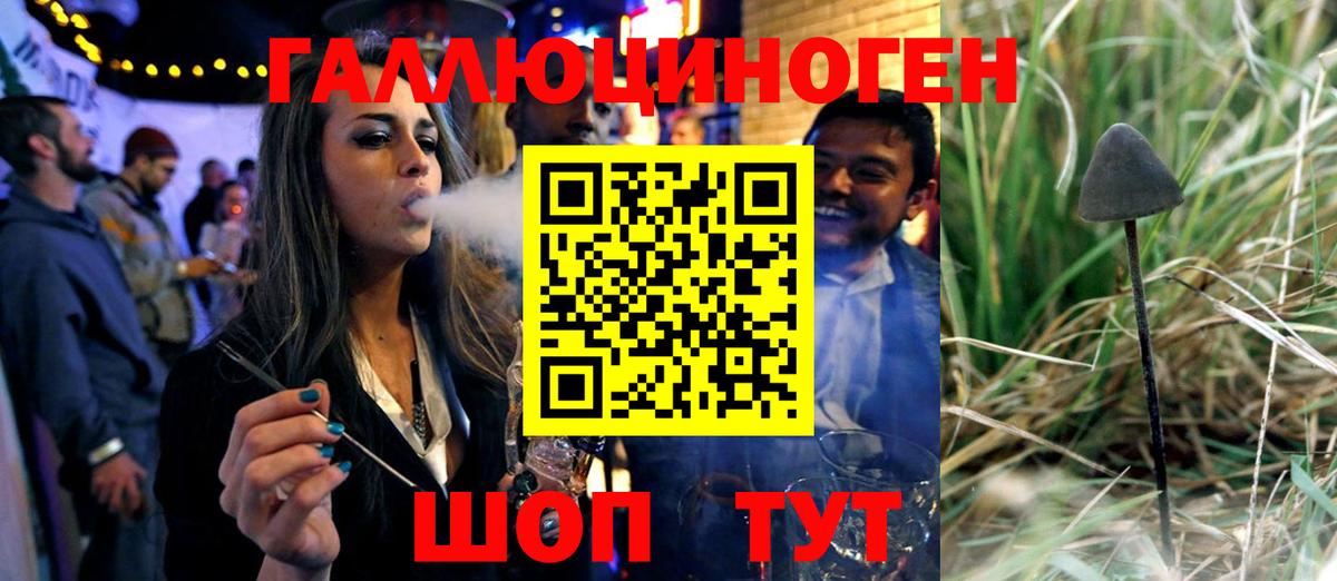 Семёнов  Галлюциногенные грибы Psilocybine cubensis  Вход с VPN 